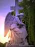 Anioł na cmentarzu - Chełmno