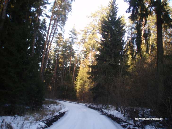 Droga do Mrozów - okolica Ełku - Ełk