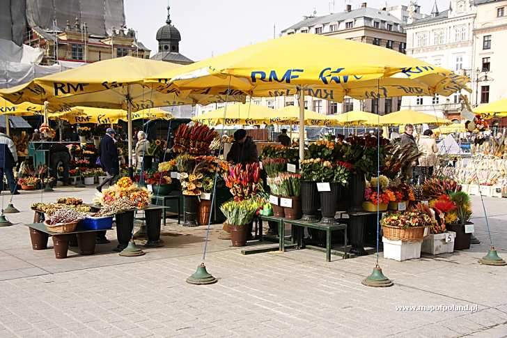 rynek w krakowie