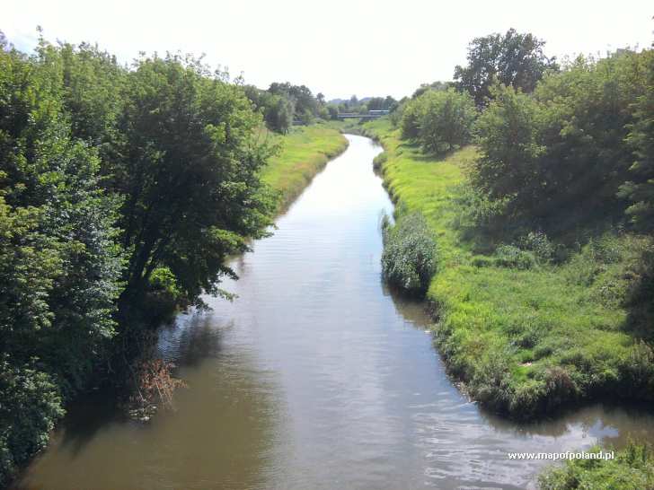 Rzeka Wilga - Kraków