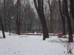 Park Młodzieży - Ruda Śląska