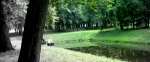 Park miejski - Radzyń Podlaski