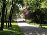 Park Mickiewicza - Ruda Śląska