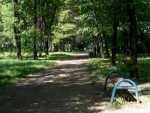 Park Mickiewicza - Ruda Śląska