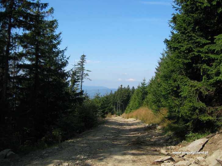 Szlak Skrzyczne-Barania Góra - Szczyrk