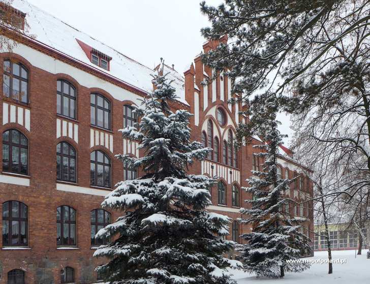 Szkoła Podstawowa Nr1 W Brodnicy Szkoła Podstawowa Nr 1 w Brodnicy - zdjęcie 55/73